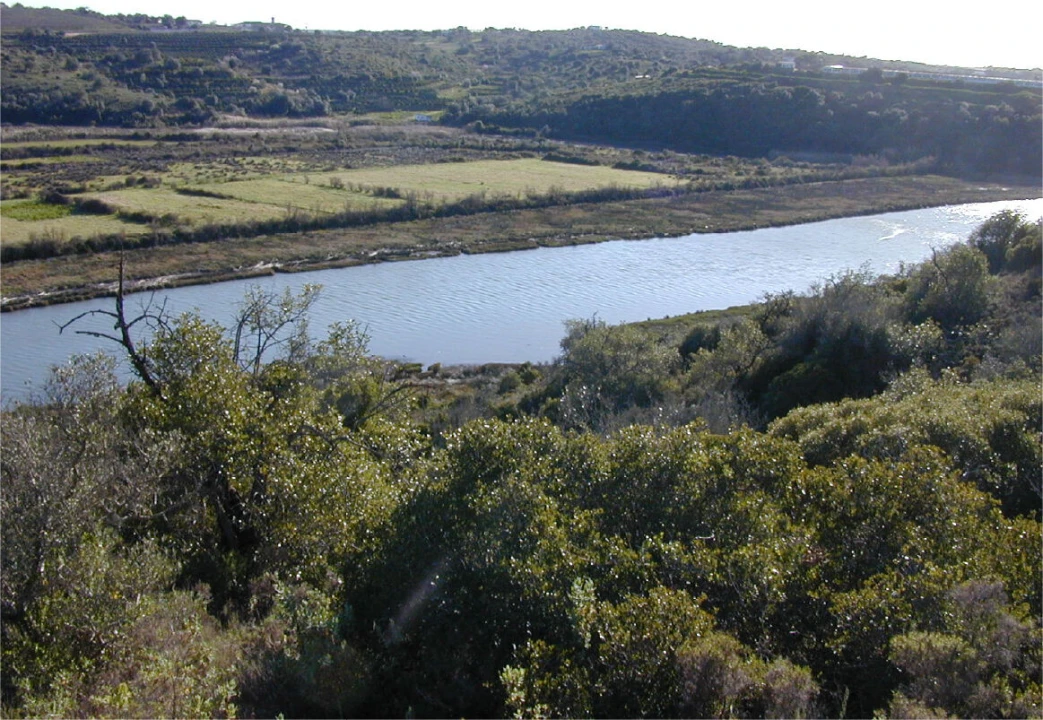Terreno para Venda em Silves Foto 2