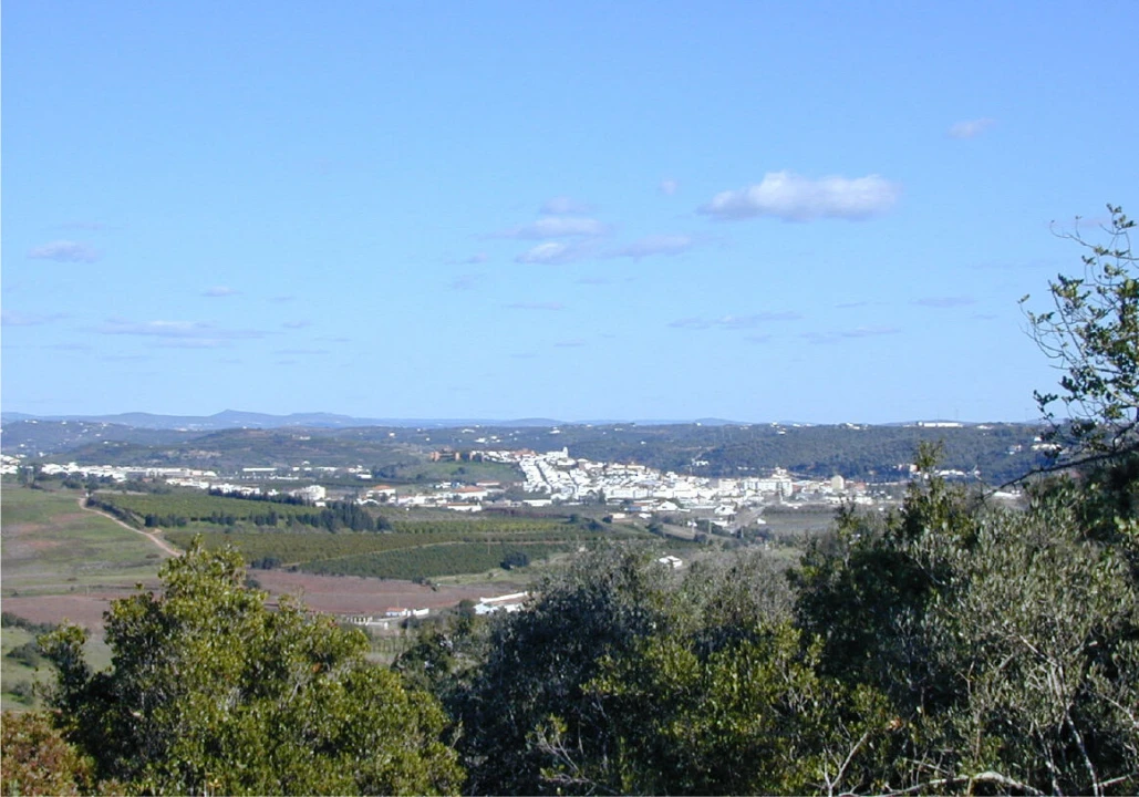 Terreno para Venda em Silves Foto 3