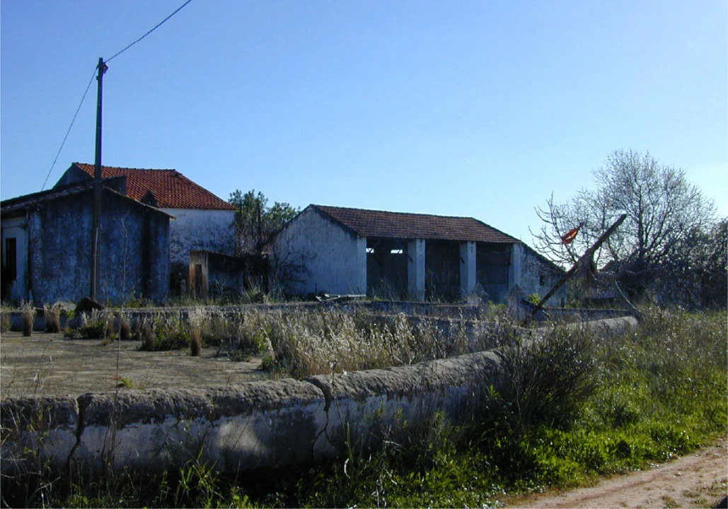 Terreno para Venda em Silves Foto 6