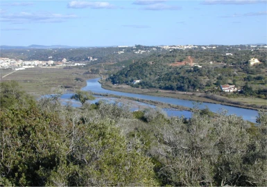 Terreno para Venda em Silves