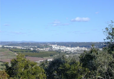 Terreno para Venda em Silves