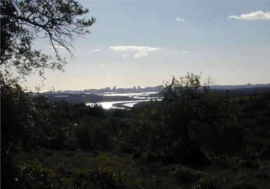 Terreno para Venda em Silves