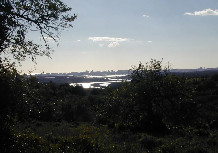 Terreno para Venda em Silves Foto 4