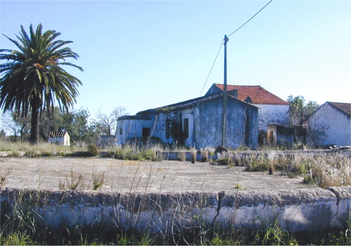 Terreno para Venda em Silves Foto 5