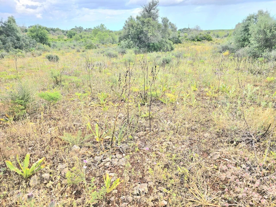 Moradia T2 para Venda em Silves Foto 8