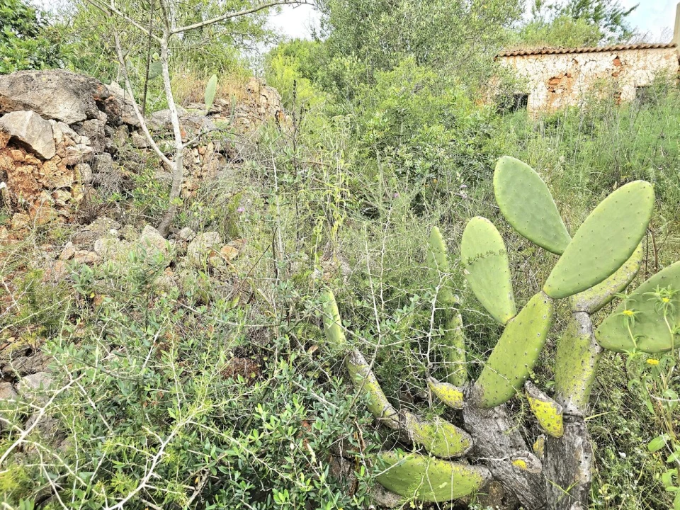 Moradia T2 para Venda em Silves Foto 3