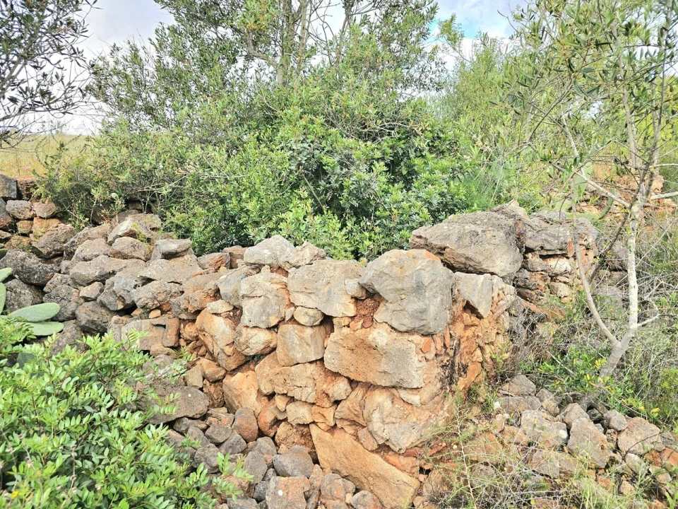 Moradia T2 para Venda em Silves Foto 4