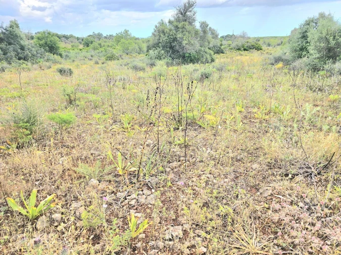 Moradia T2 para Venda em Silves Foto 8