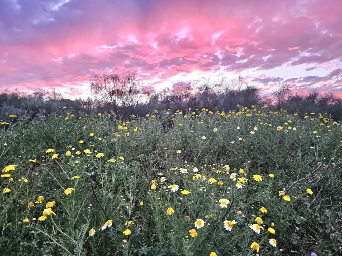 Moradia T2 para Venda em Silves Foto 9