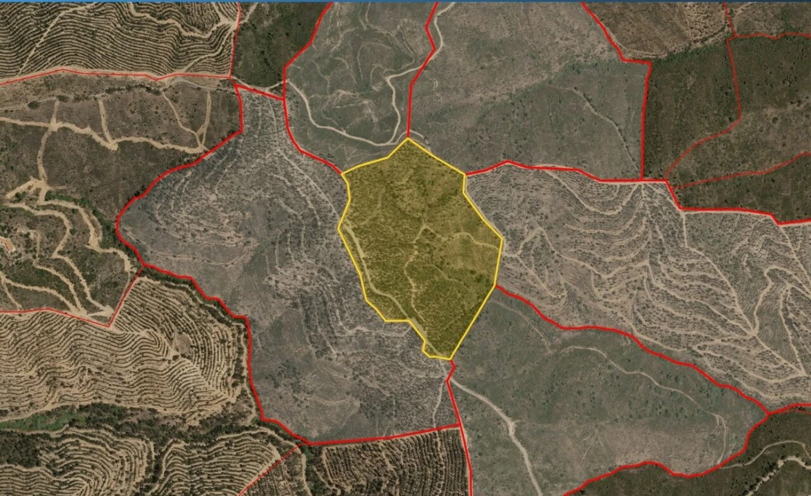 Terreno para Venda em Alferce Foto 3