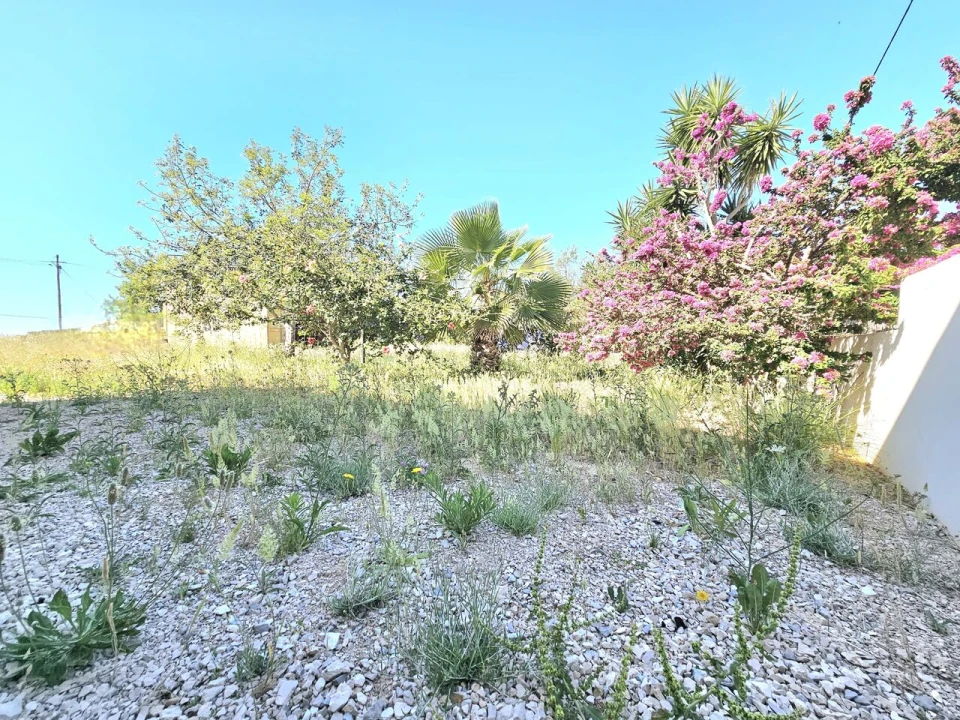 Moradia T1 para Venda em Armação de Pera Foto 4