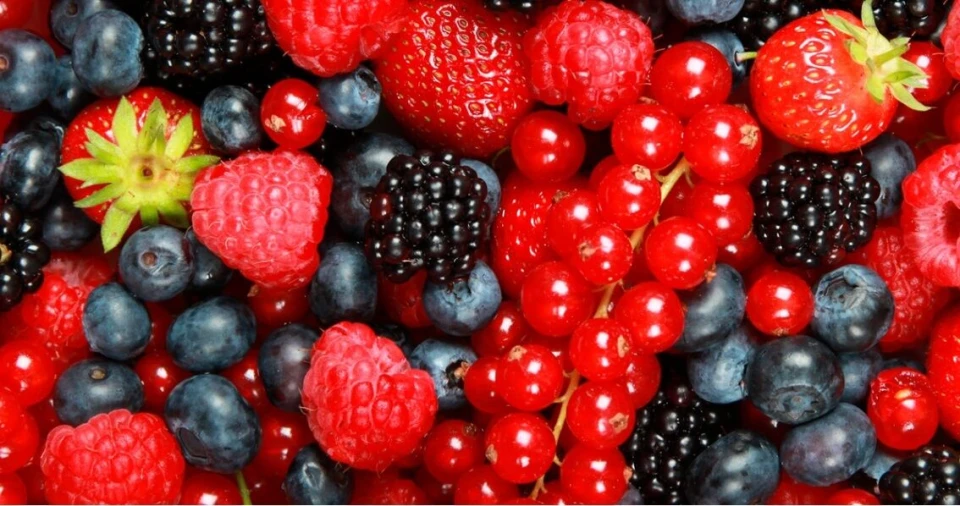 Terreno para Venda em Alcantarilha e Pêra Foto 2