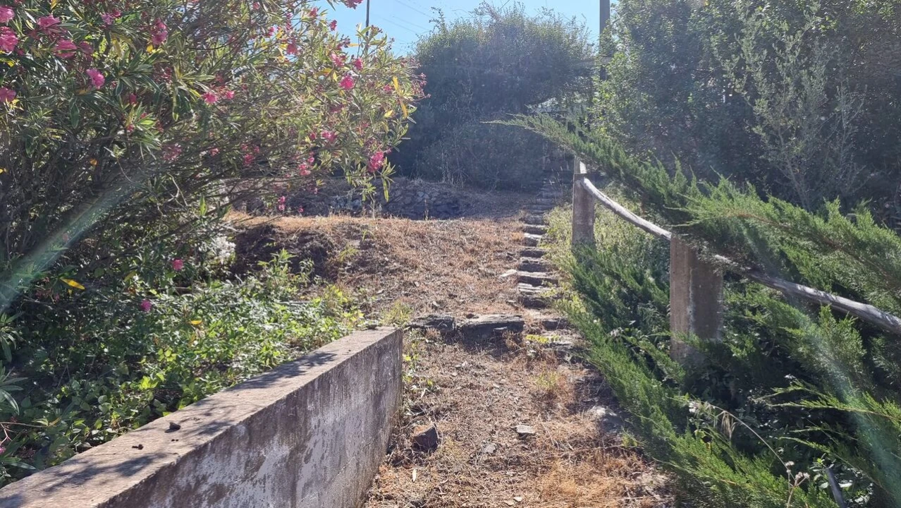 Quinta T2 para Venda em Silves Foto 7