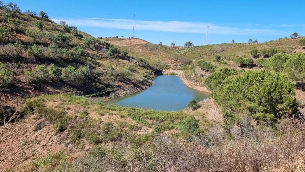 Quinta T2 para Venda em Silves Foto 8