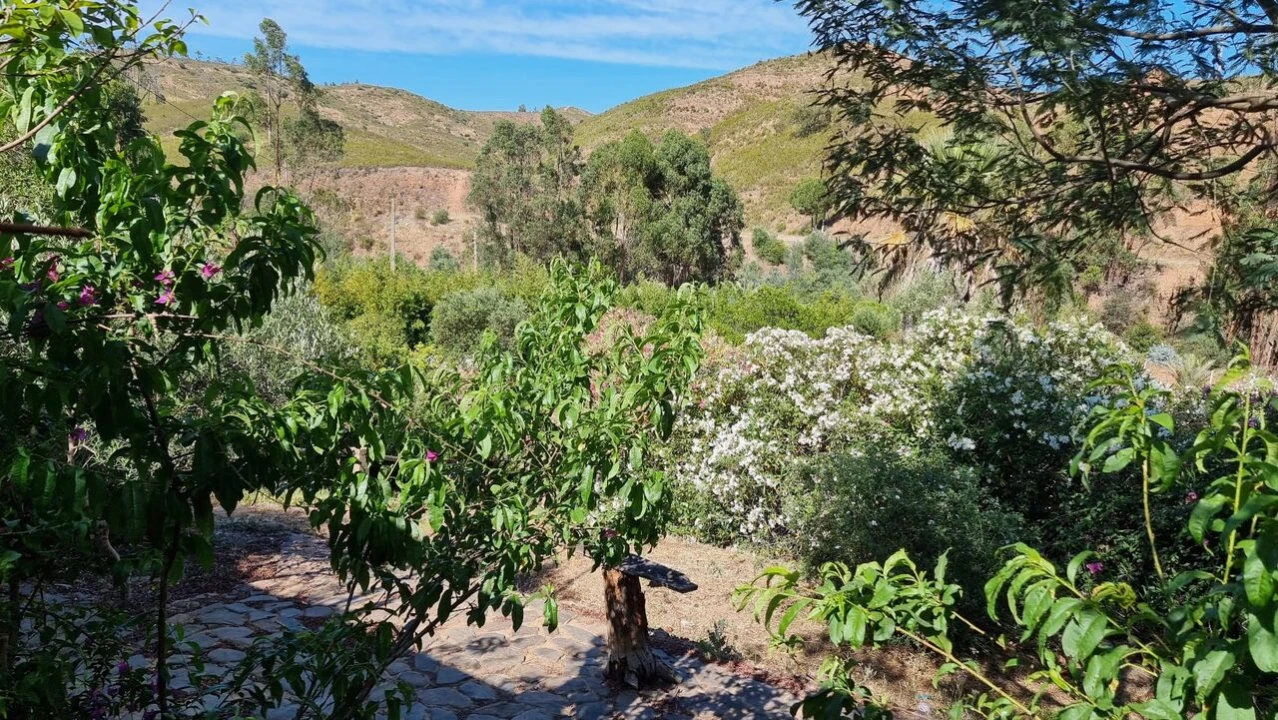 Quinta T2 para Venda em Silves Foto 10