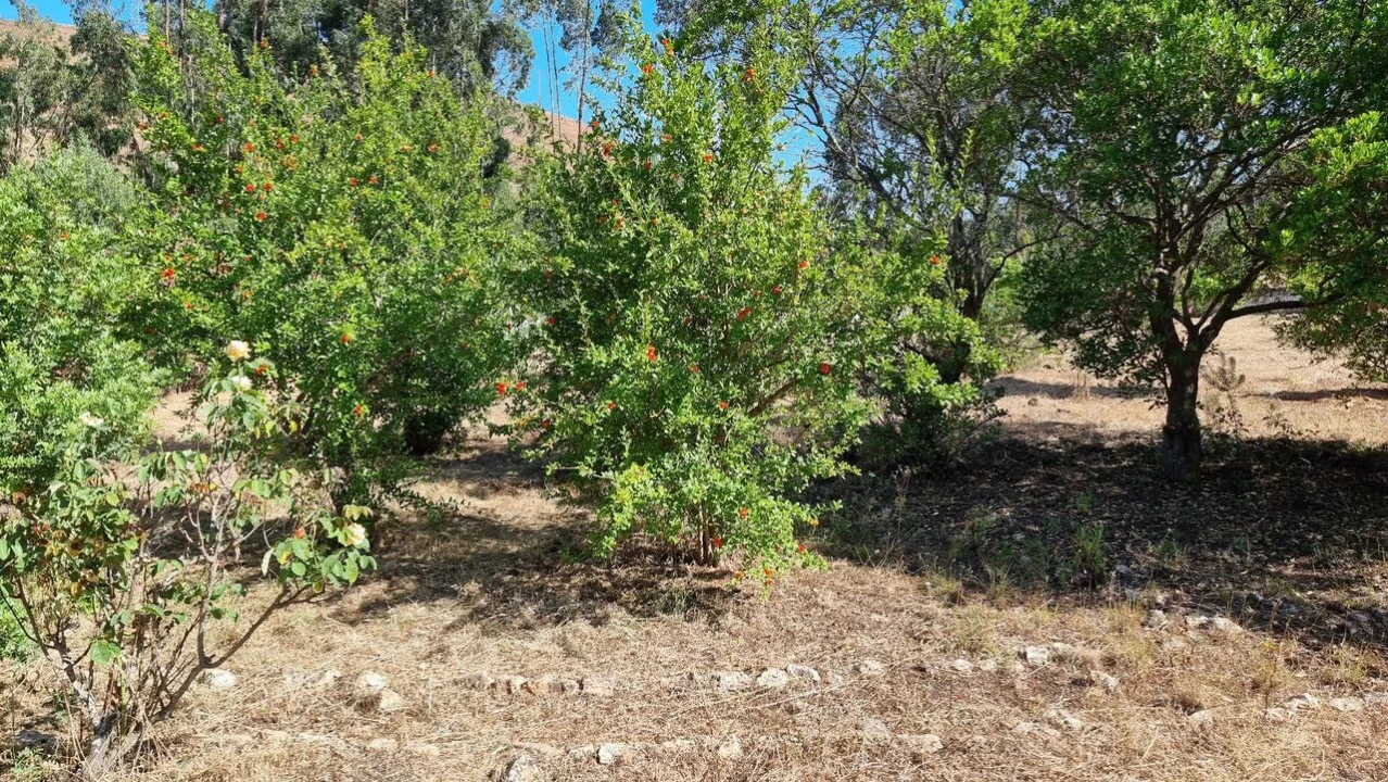 Quinta T2 para Venda em Silves Foto 11