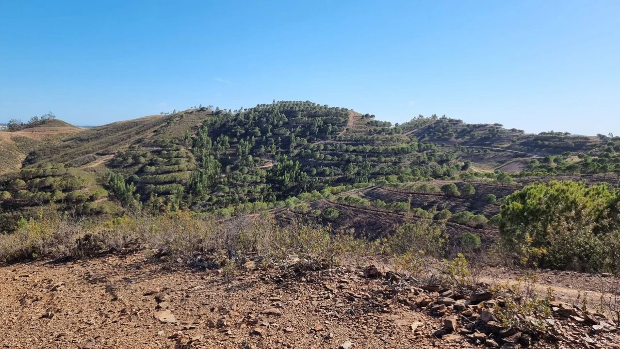 Quinta T2 para Venda em Silves Foto 14