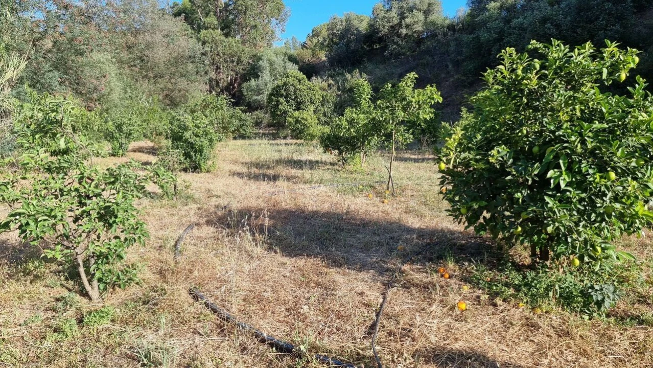 Quinta T2 para Venda em Silves Foto 16