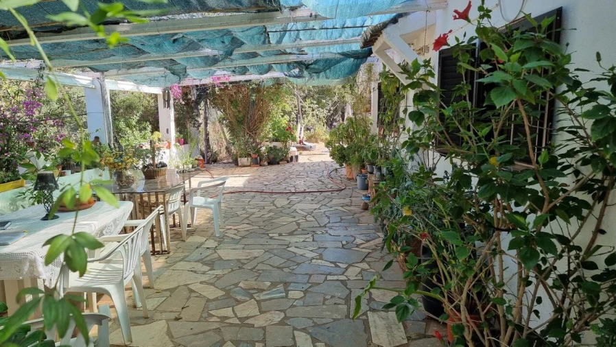 Quinta T2 para Venda em Silves Foto 6