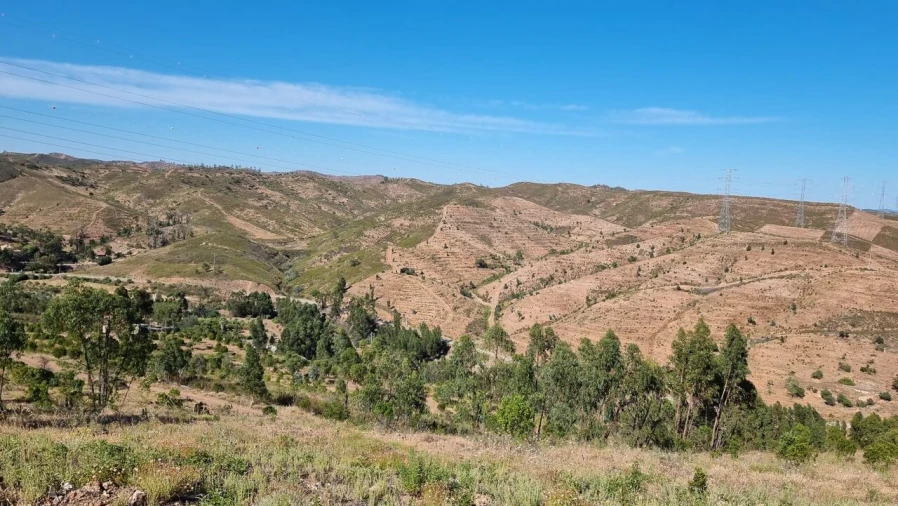 Quinta T2 para Venda em Silves Foto 12