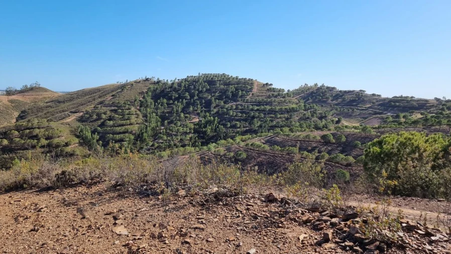 Quinta T2 para Venda em Silves Foto 14