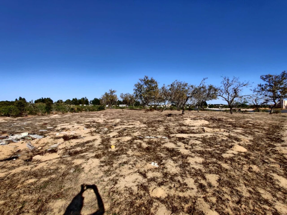 Terreno para Venda em Alcantarilha e Pêra Foto 7
