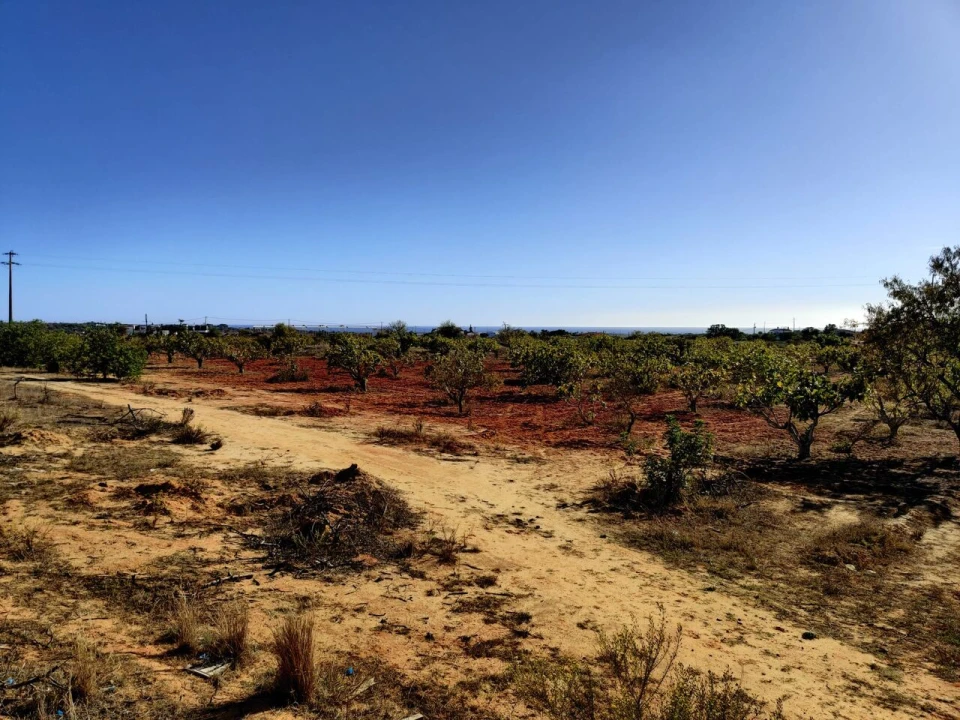 Terreno para Venda em Alcantarilha e Pêra Foto 8