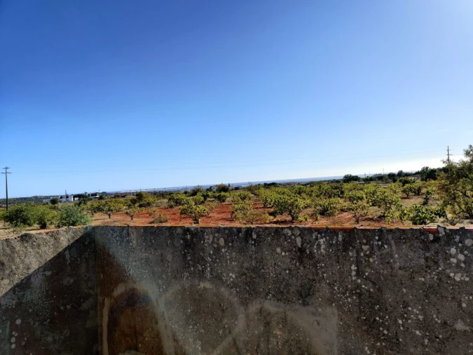 Terreno para Venda em Alcantarilha e Pêra Foto 3
