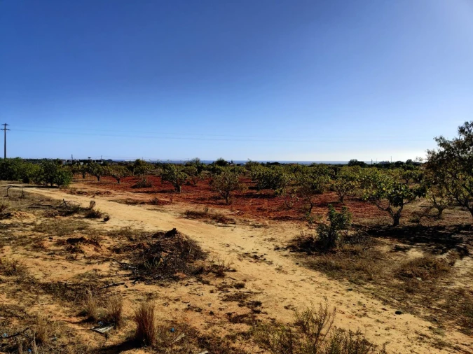 Terreno para Venda em Alcantarilha e Pêra Foto 8