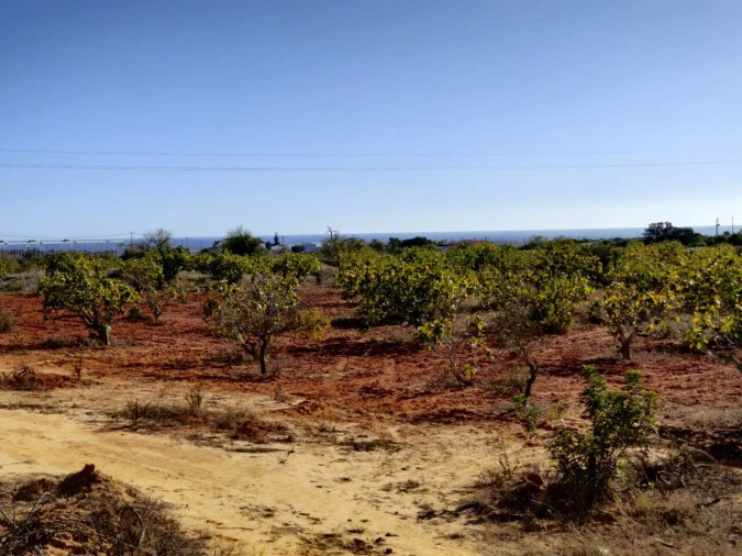Terreno para Venda em Alcantarilha e Pêra Foto 10