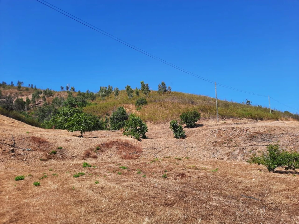 Quinta T2 para Venda em Alferce Foto 14