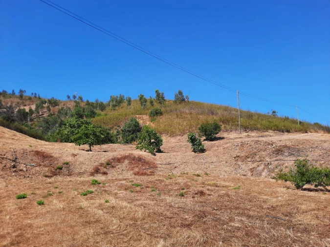 Quinta T2 para Venda em Alferce Foto 14