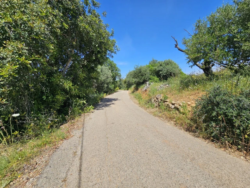 Terreno para Venda em Alcantarilha e Pêra Foto 2