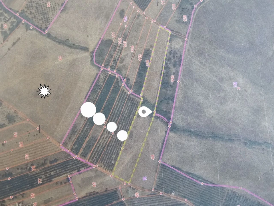 Terreno para Venda em Alcantarilha e Pêra Foto 3