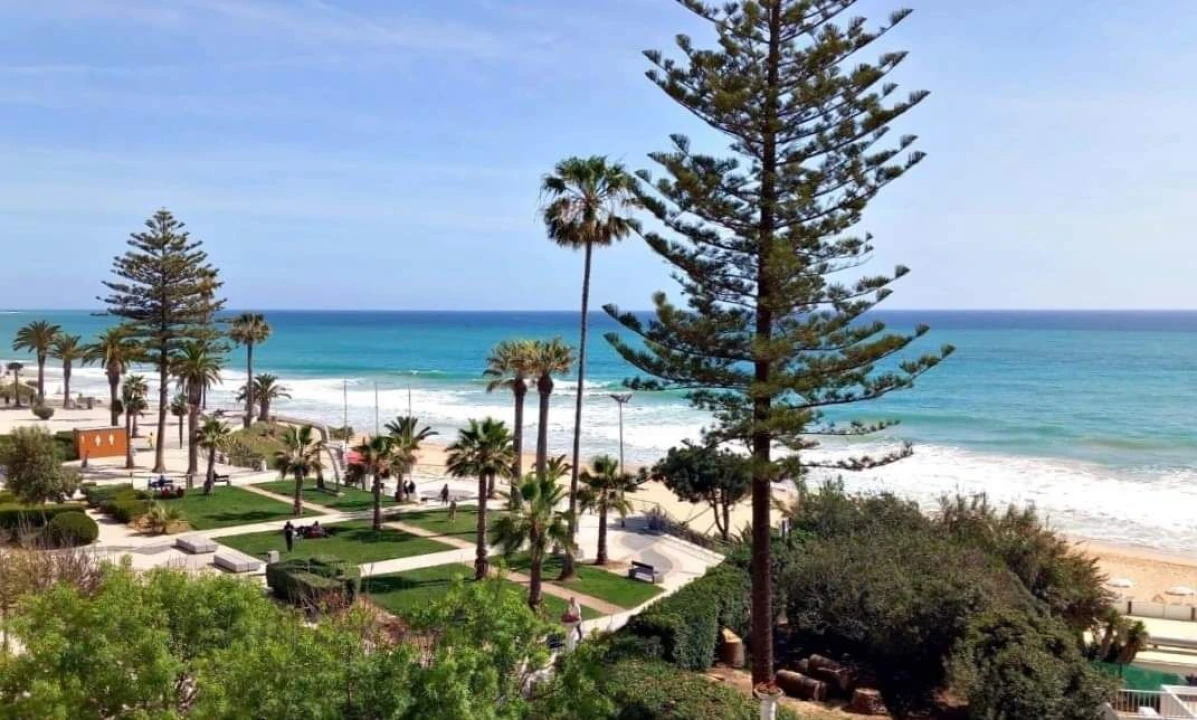 Terreno para Venda em Alcantarilha e Pêra Foto 5