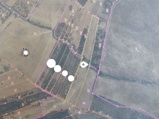 Terreno para Venda em Alcantarilha e Pêra Foto 3