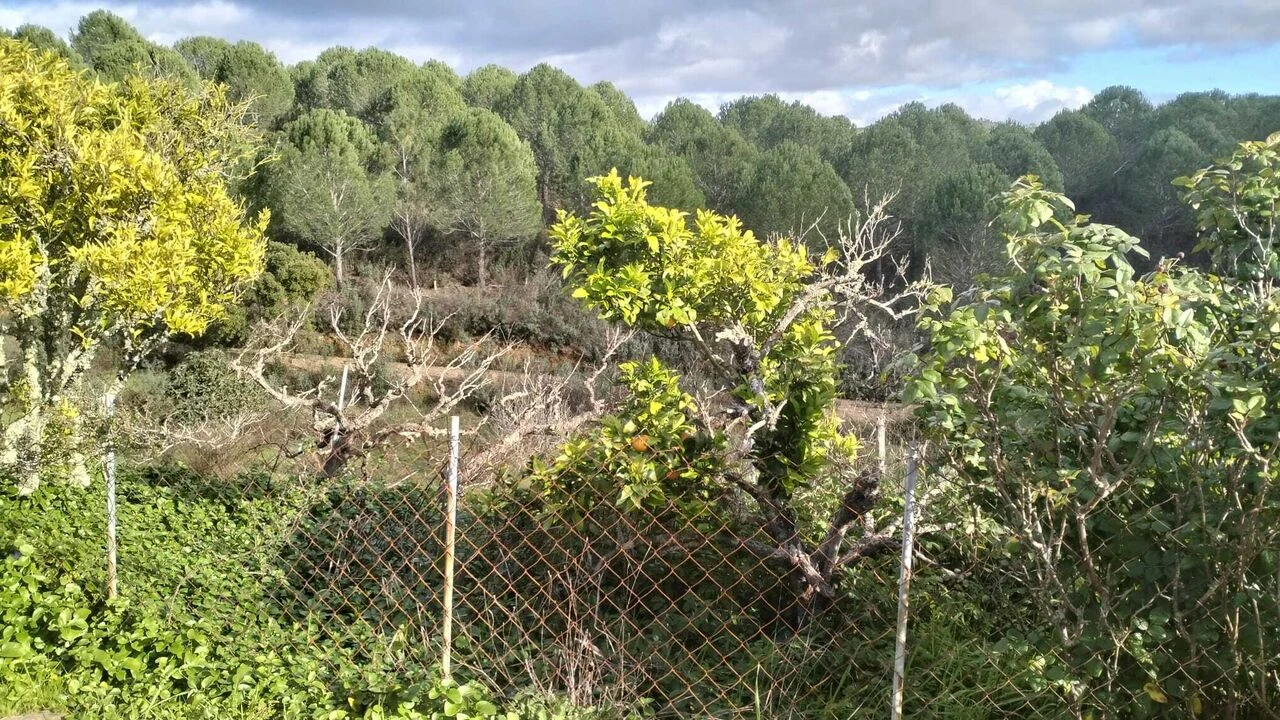 Quinta T3 para Venda em São Marcos da Serra Foto 6