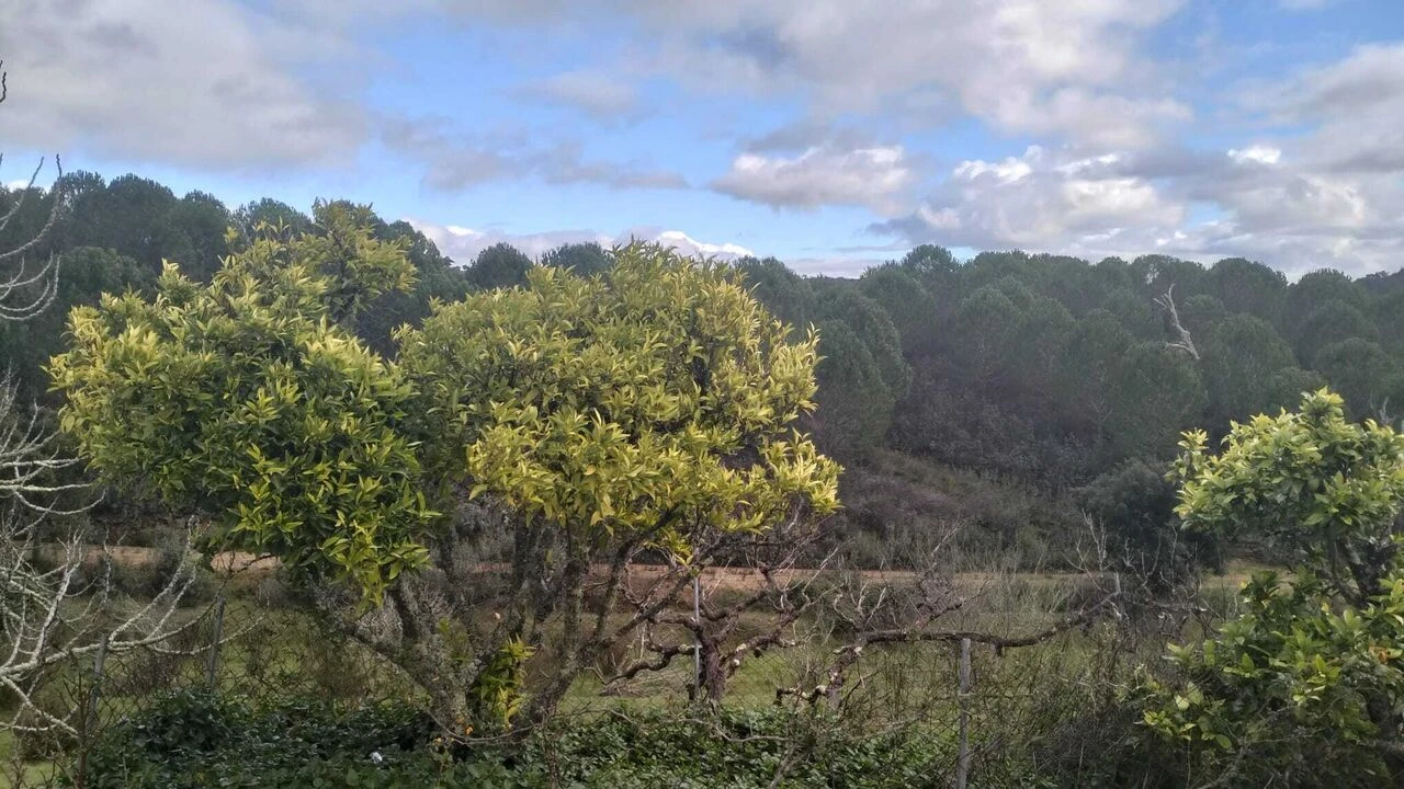 Quinta T3 para Venda em São Marcos da Serra Foto 13
