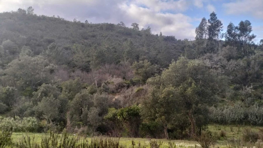 Quinta T3 para Venda em São Marcos da Serra Foto 8