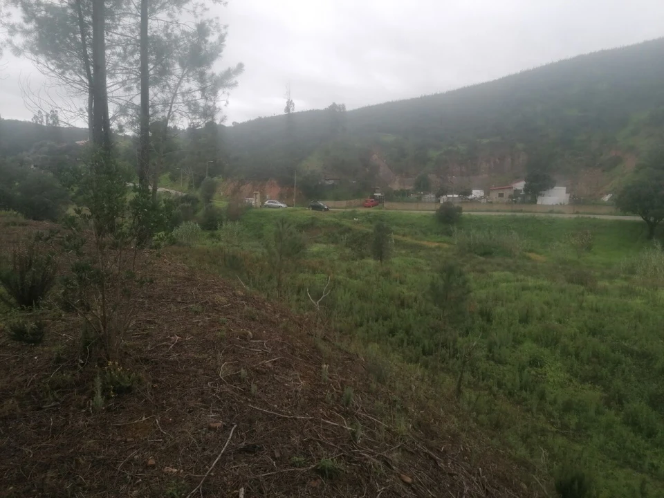 Terreno para Venda em Mexilhoeira Grande Foto 1