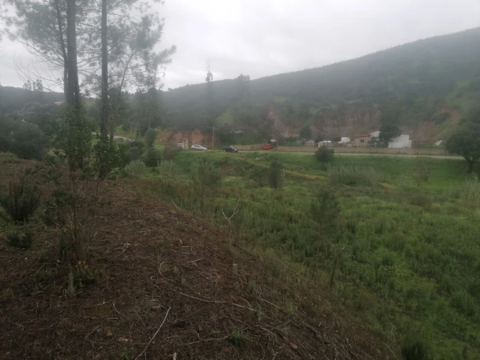 Terreno para Venda em Mexilhoeira Grande Foto 1