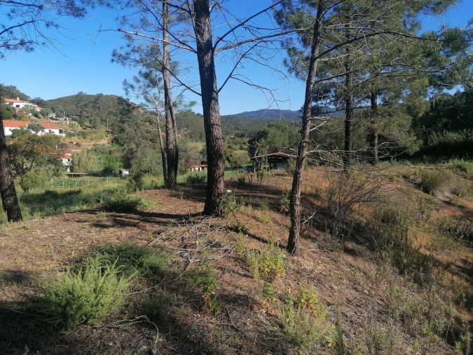 Terreno para Venda em Mexilhoeira Grande Foto 2