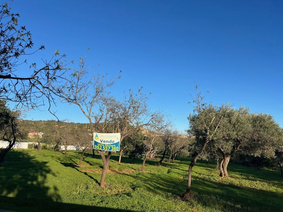 Terreno para Venda em Boliqueime Foto 3