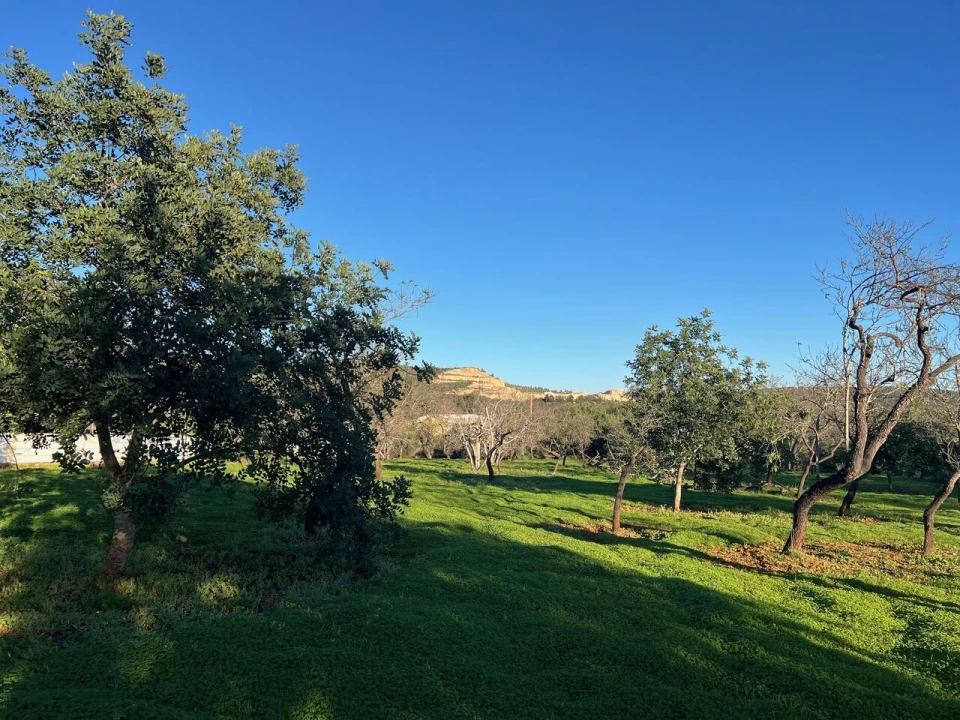 Terreno para Venda em Boliqueime Foto 2