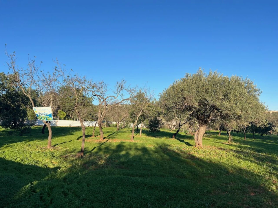 Terreno para Venda em Boliqueime Foto 4