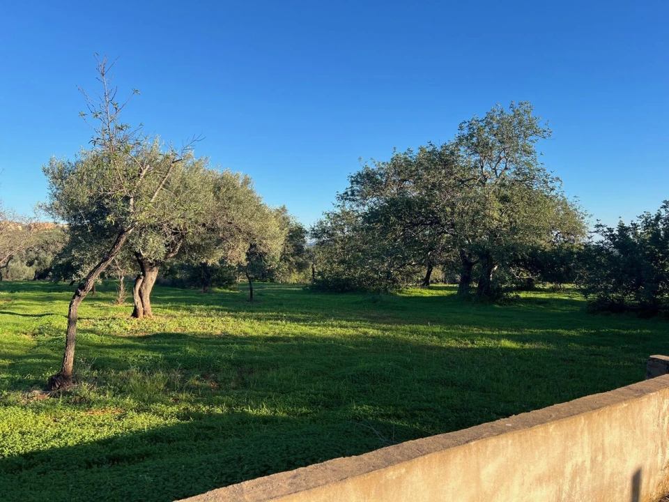 Terreno para Venda em Boliqueime Foto 6