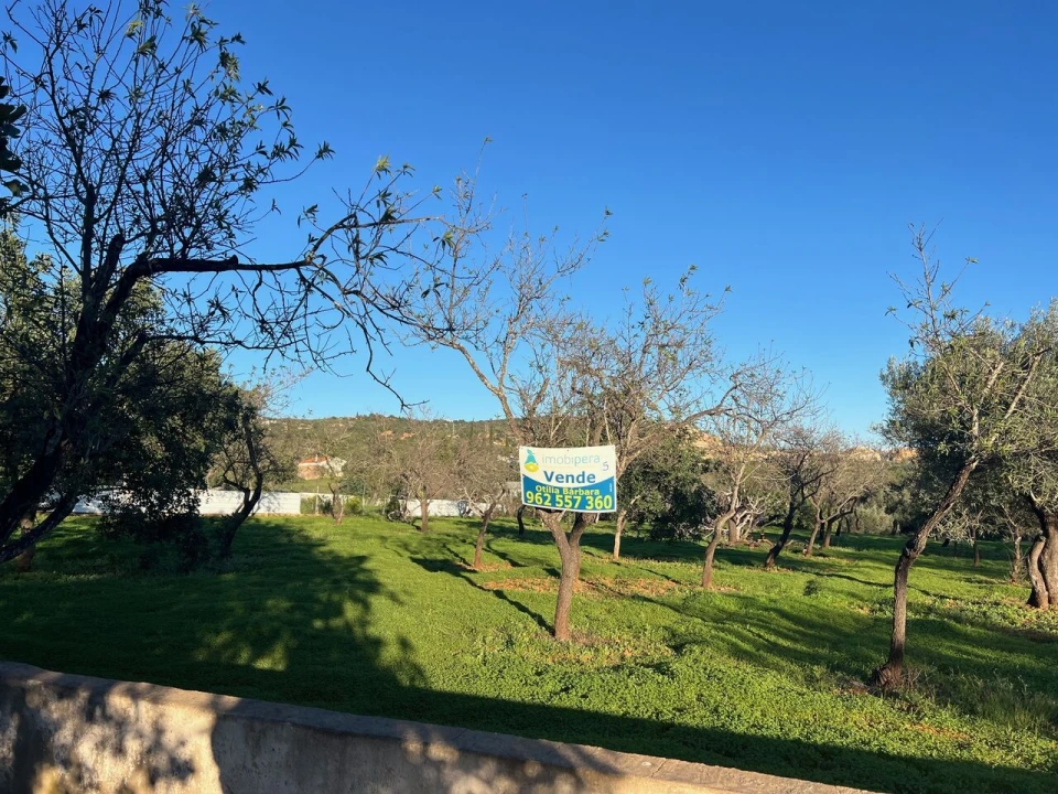 Terreno para Venda em Boliqueime Foto 8