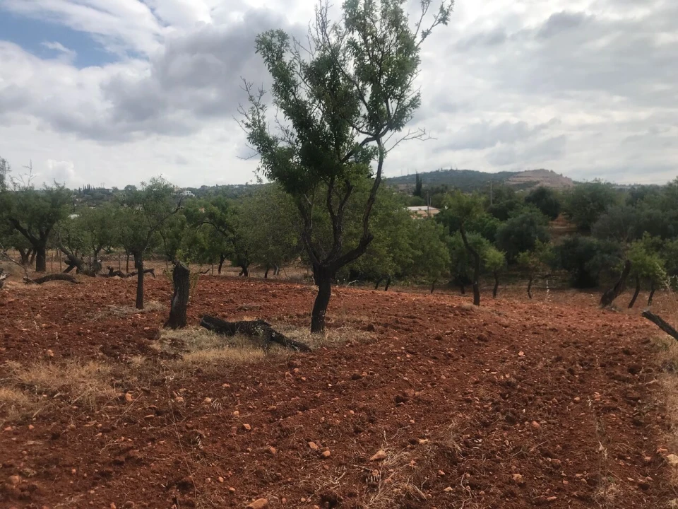 Terreno para Venda em Boliqueime Foto 10