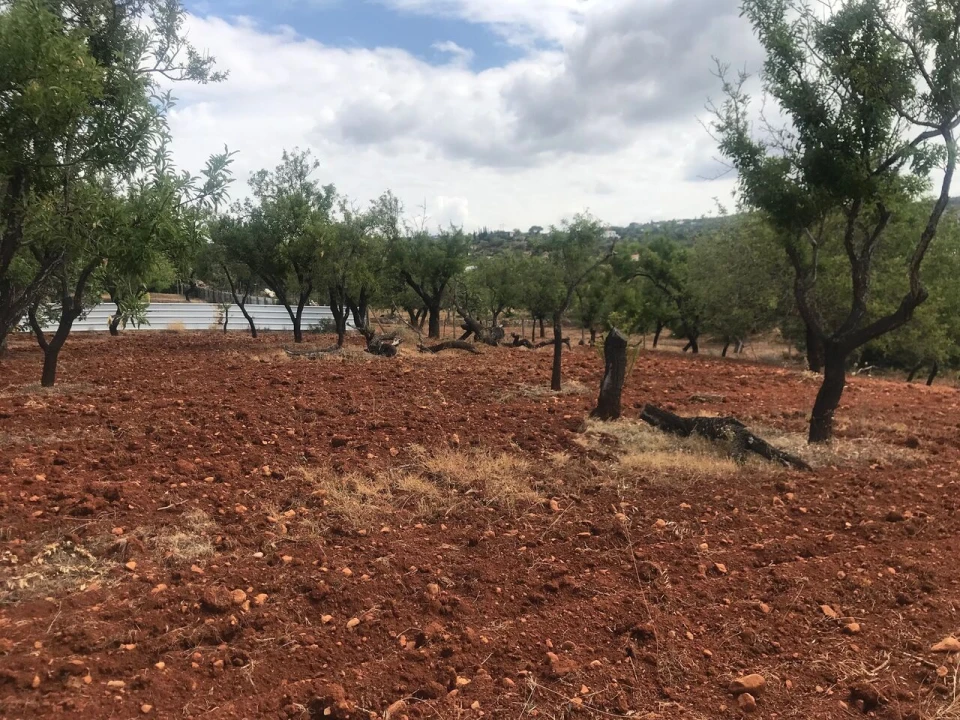 Terreno para Venda em Boliqueime Foto 12