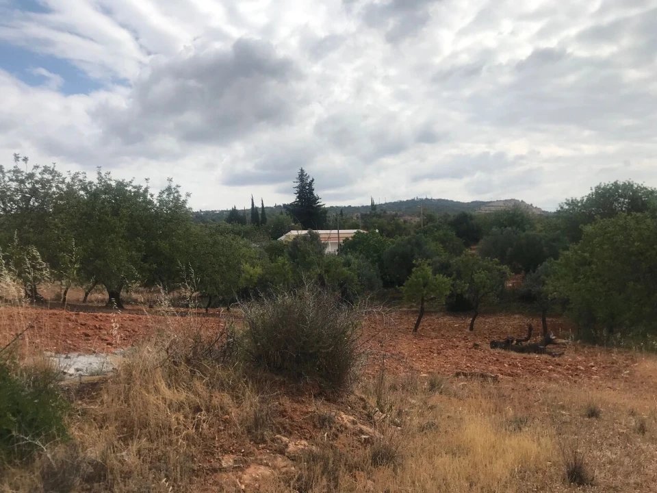 Terreno para Venda em Boliqueime Foto 14